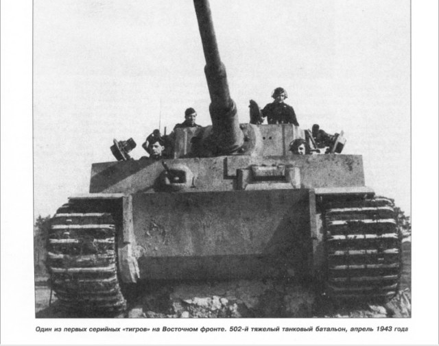 Один из ранних тигров.jpg